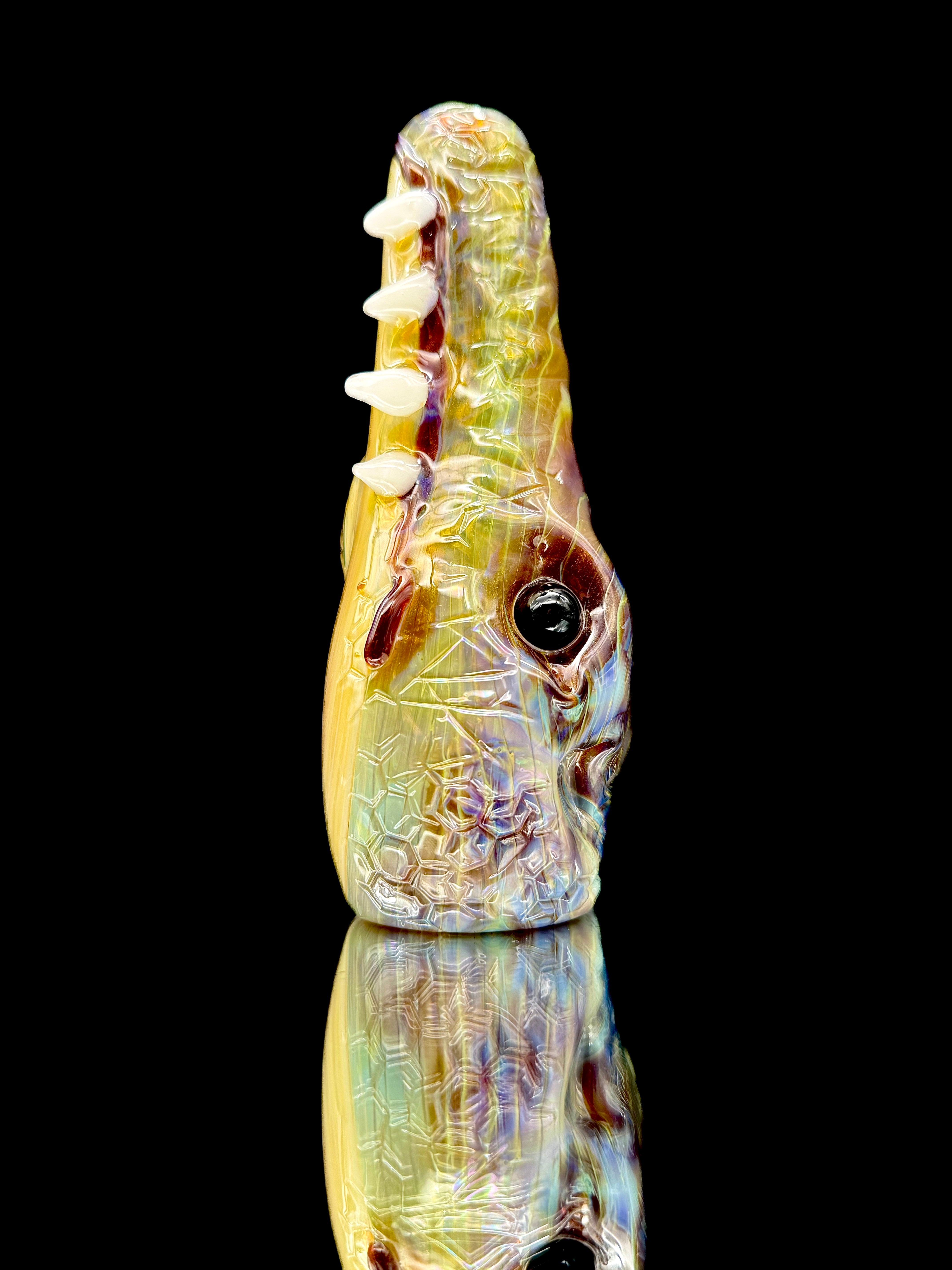 Addison Hanna Croc Head Rig